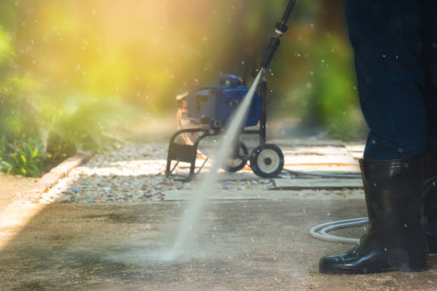 Best Soft Washing  in Nisswa, MN